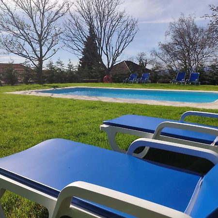 Quinta Chao Da Bispa Oliveira do Hospital Eksteriør billede
